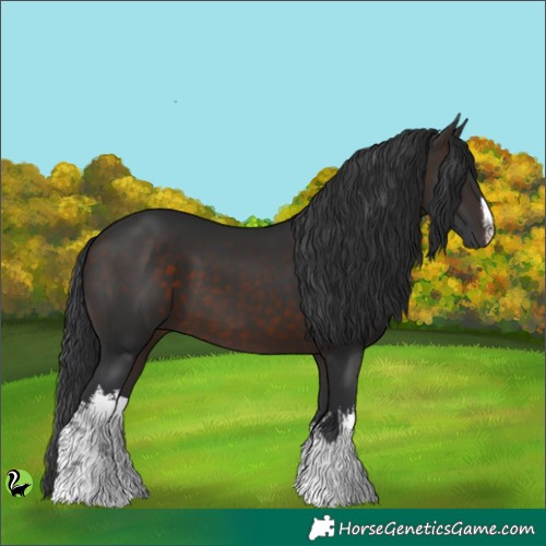 Horse Color:White Spotted Brown 