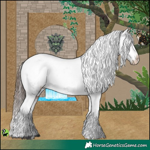 Horse Color:White Spotted Brown Appaloosa 