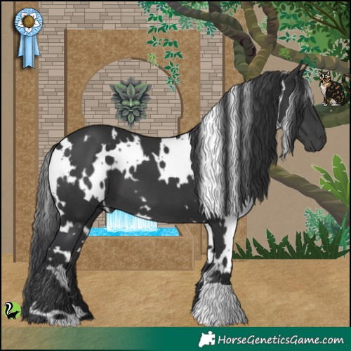 Horse Color:White Spotted Black 
