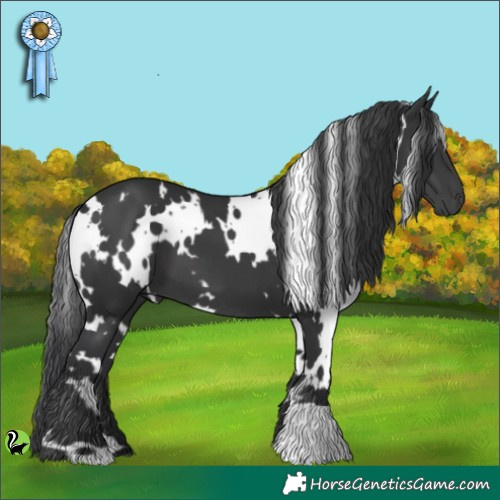 Horse Color:White Spotted Black 