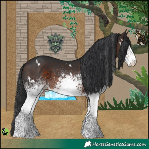 Horse Color:White Spotted Brown 