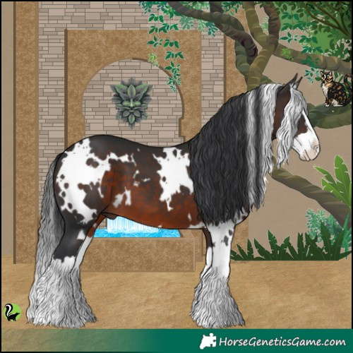 Horse Color:White Spotted Brown Splash 