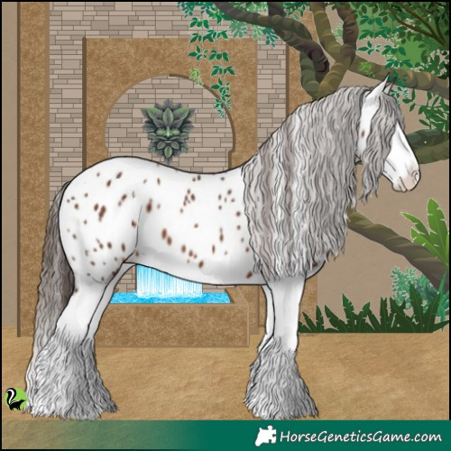 Horse Color:Liver Chestnut Splash Near Leopard 