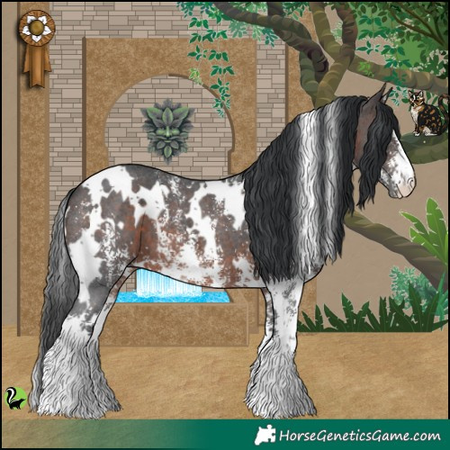Horse Color:White Spotted Brown Sabino 