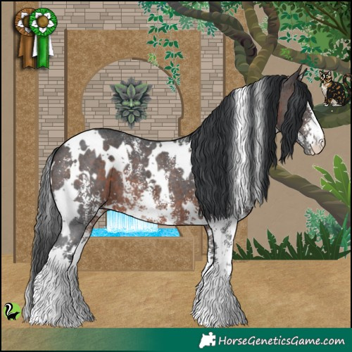 Horse Color:White Spotted Brown Sabino 