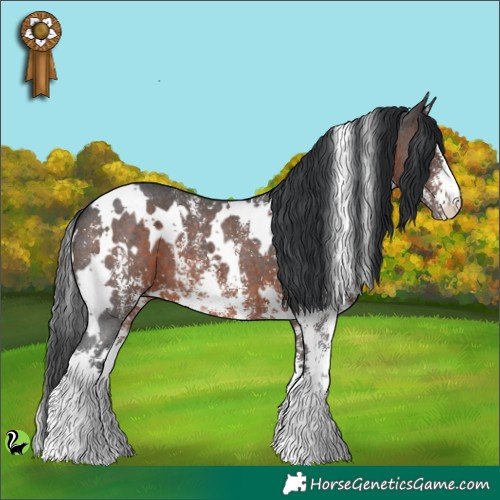 Horse Color:White Spotted Brown Sabino 