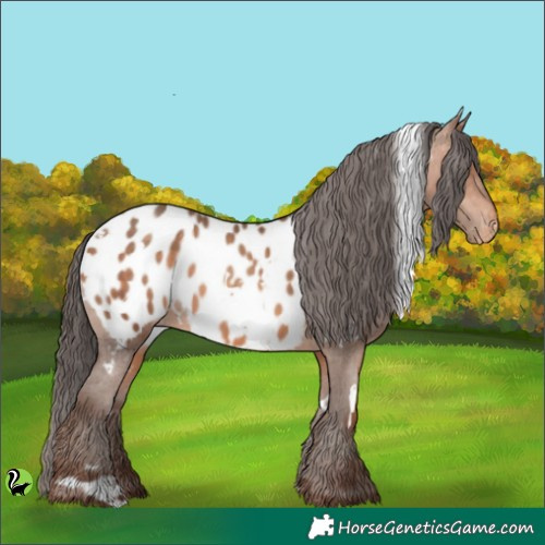 Horse Color:White Spotted Sable Champagne Appaloosa 