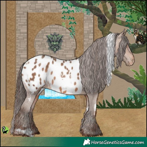 Horse Color:White Spotted Sable Champagne Appaloosa 