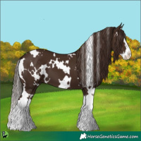Horse Color:White Spotted Liver Chestnut Splash 