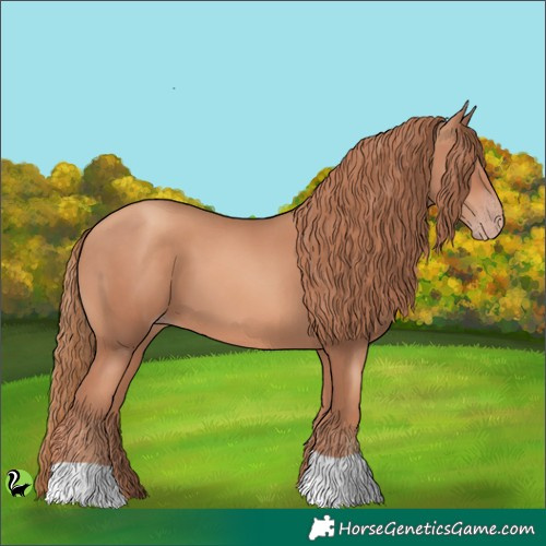 Horse Color:Gold Champagne 