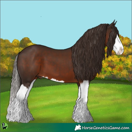 Horse Color:Liver Chestnut Sabino Splash 