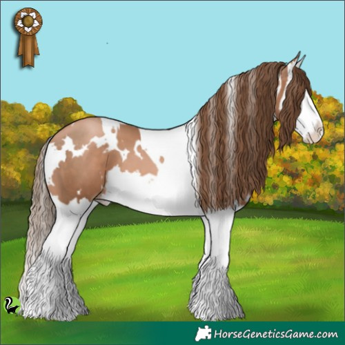 Horse Color:White Spotted Liver Chestnut Pearl Splash 