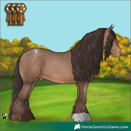 Horse Color:Sable Champagne Appaloosa 