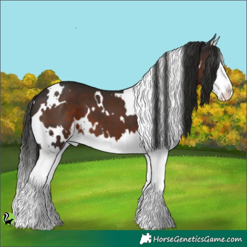 Horse Color:White Spotted Liver Chestnut Splash 