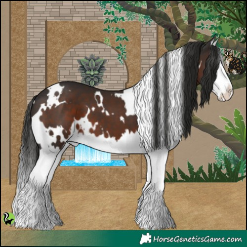 Horse Color:White Spotted Liver Chestnut Splash 