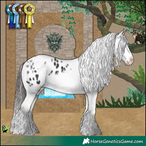 Horse Color:White Spotted Brown Varnish 