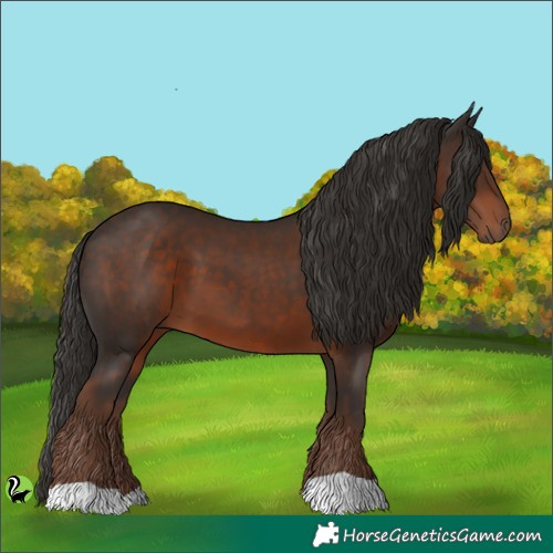 Horse Color:Liver Chestnut 