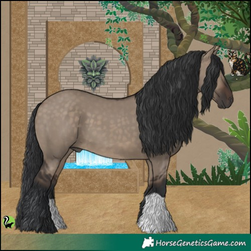 Horse Color:Brown Dun 