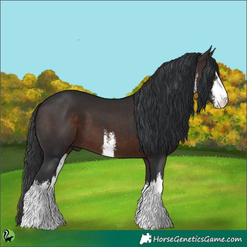 Horse Color:White Spotted Brown 