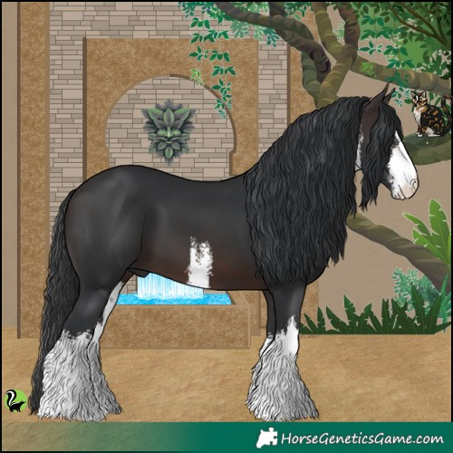 Horse Color:White Spotted Brown 