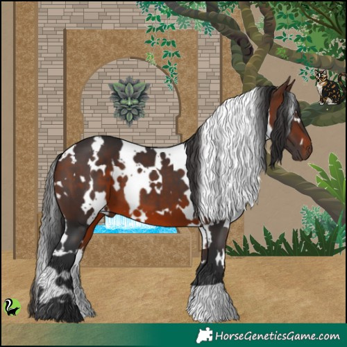 Horse Color:White Spotted Brown 