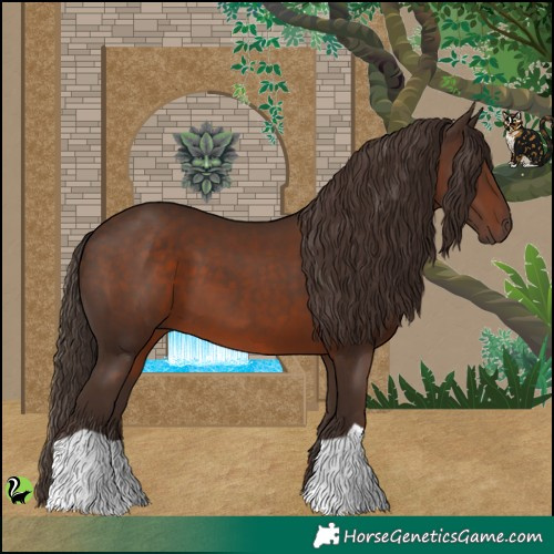 Horse Color:Liver Chestnut 