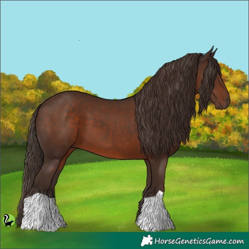 Horse Color:Liver Chestnut 