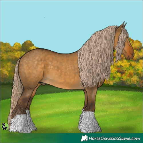 Horse Color:Chocolate Palomino Dun 