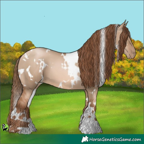 Horse Color:White Spotted Liver Red Dun Pearl 