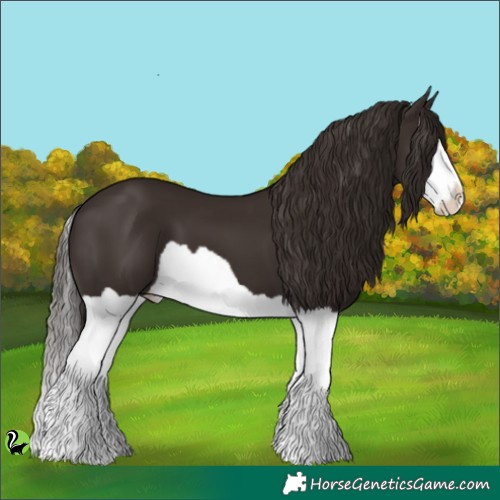 Horse Color:Liver Chestnut Splash 