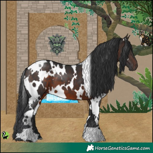 Horse Color:White Spotted Brown 