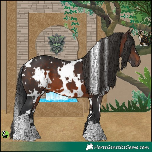 Horse Color:White Spotted Brown 