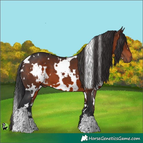 Horse Color:White Spotted Brown 