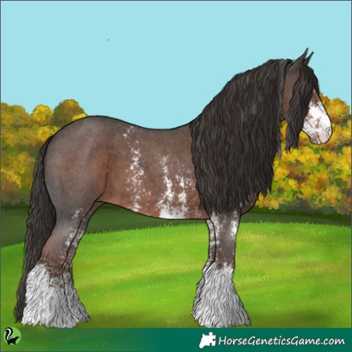 Horse Color:Liver Chestnut Sabino