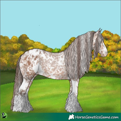 Horse Color:White Spotted Sable Champagne Appaloosa 