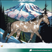 Horse Color:White Spotted Brown Dun 