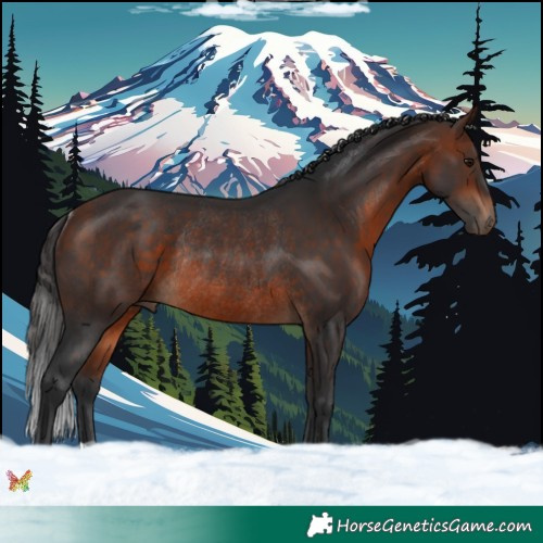 Horse Color:Bay Rabicano 