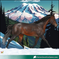 Horse Color:Brown 