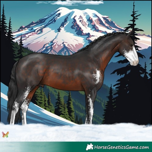 Horse Color:Brown Sabino 