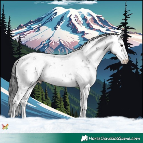 Horse Color:Black Sabino 