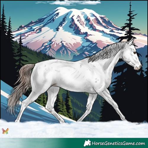 Horse Color:Liver Chestnut Sabino 