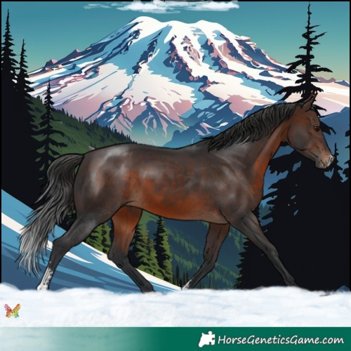 Horse Color:Brown Sabino 