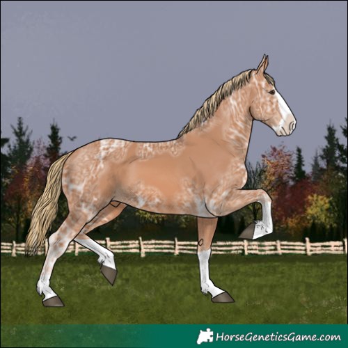 Horse Color:Chestnut Ice Splash 