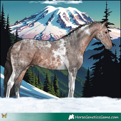 Horse Color:Bay Ice Tobiano 