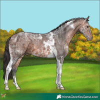 Horse Color:Bay Ice Tobiano 