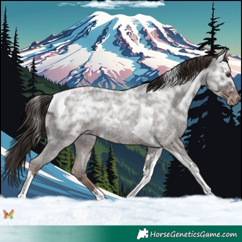 Horse Color:Liver Red Ice Roan Tobiano Rabicano 