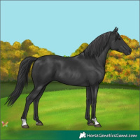 Horse Color:Black Mushroom 