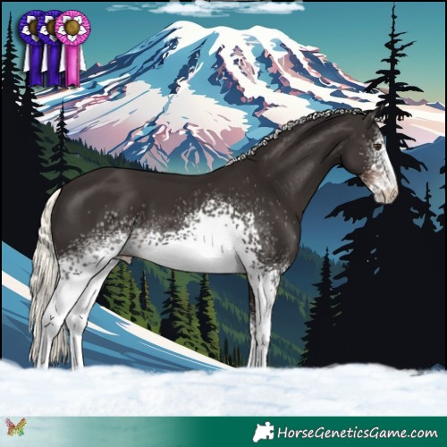 Horse Color:White Spotted Liver Chestnut Mushroom 