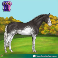 Horse Color:White Spotted Liver Chestnut Mushroom 