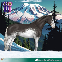 Horse Color:White Spotted Liver Chestnut Mushroom
